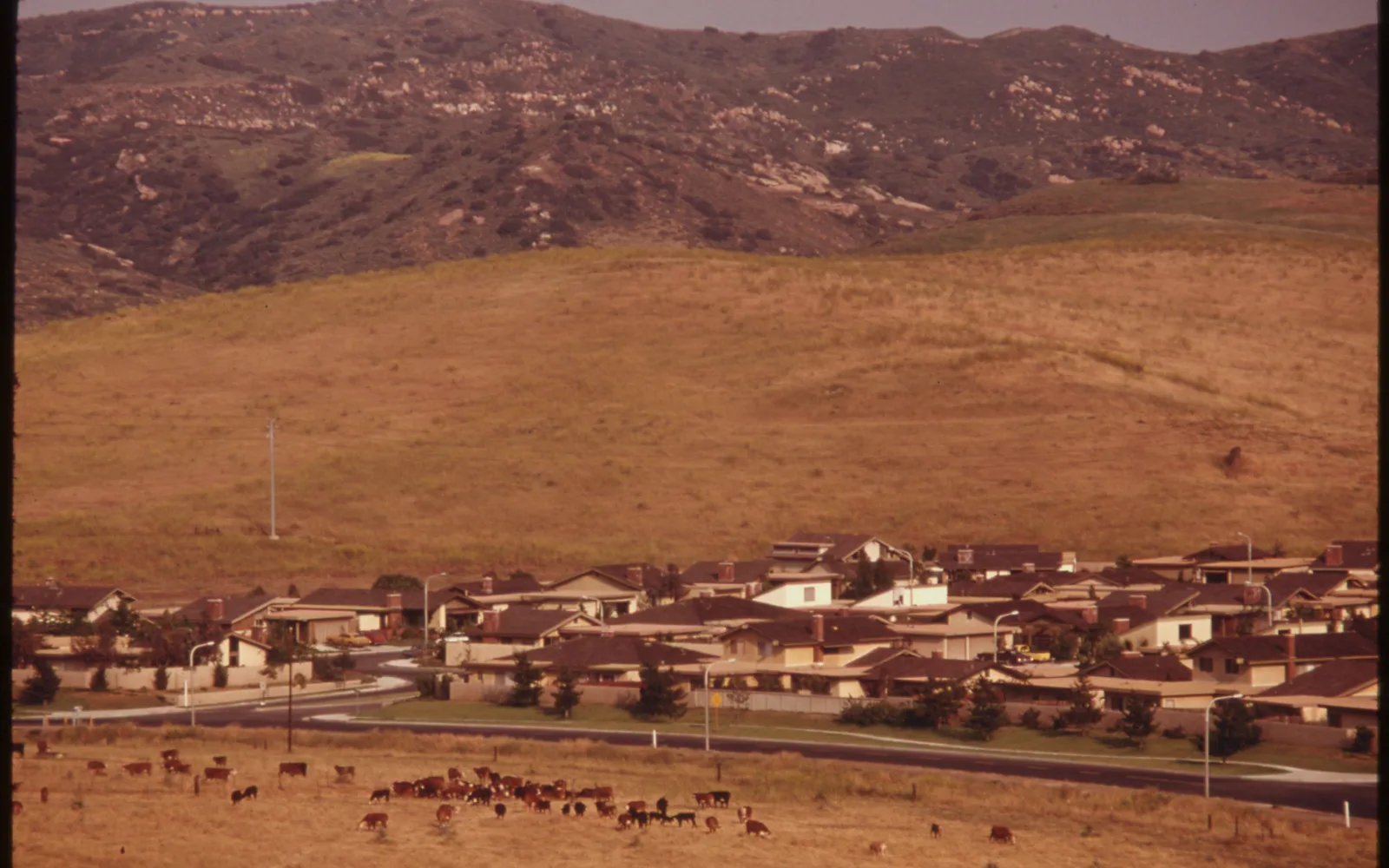 Aerial view of residential development in Irvine Ranch area, California, 1975
